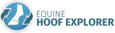 Equine Hoof Explorer - The new way to explore the Equine Hoof in 3D
